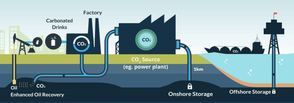 The role of Hydrogen in the Energy Transition | AcadBuddy